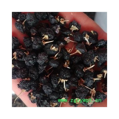 黑枸杞 青海一级大颗粒黑枸杞 产地 青海省