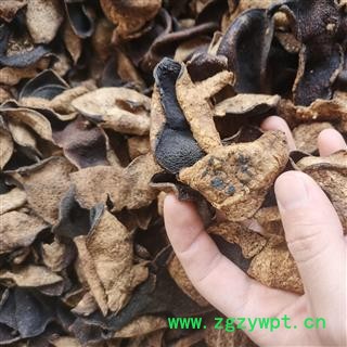 陈皮 新会陈皮老陈皮30年散皮 产地 广东省江门市新会区图3