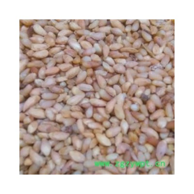 柏子仁1000克促销批发 柏子仁精选货 产地 山东省东营市垦利县 大货批发价