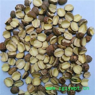 莲子 红莲子对瓣 产地 湖北省图2