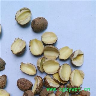 莲子 红莲子对瓣 产地 湖北省图3