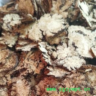 川芎 薄片  0.6筛子以上选货  产地 四川省图2