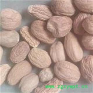 玉果 肉豆蔻统货 产地 广西壮族自治区图3