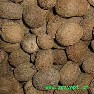 玉果 肉豆蔻统货 产地 广西壮族自治区图2