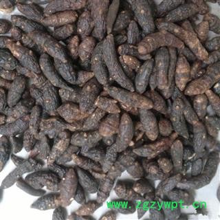 香附 光香附统个 产地 海南省图2