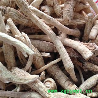 白参 细条白参 产地 吉林省 凯捷中药图2