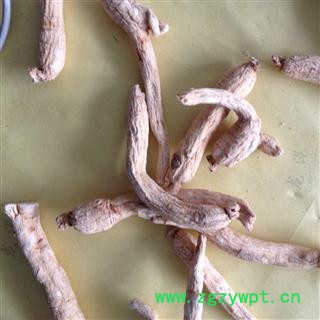 白参 细条白参 产地 吉林省 凯捷中药图3