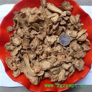 防风 河北家种防风 产地 河北省图2