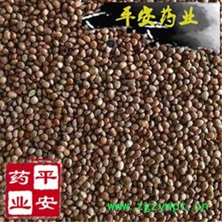 平安药业 油苏子 过风车 油苏籽 别称 桂荏 赤苏 皱紫苏 红苏 黑苏 白紫苏 香苏 臭苏 苏麻图2