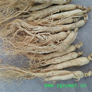 人参 生晒参 低残人参 45支（500克/袋） 特价处理产地 吉林省图2