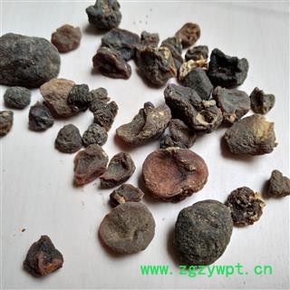 土贝母 统货 产地 云南省图2