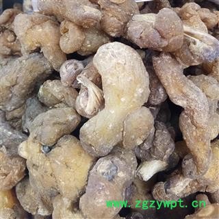 黄精 鸡头黄精选个 产地 贵州省图2