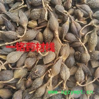 连翘 青翘水煮（汽蒸）统货 产地 山西省图2