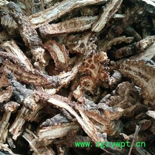 羌活 羌活片 选货 产地 四川省图2