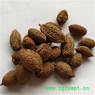 砂仁 进口壳砂   颗粒大 选货   新货 足干品质保证 产地 海南省海口市市辖区图4