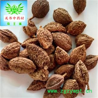 砂仁 进口壳砂   颗粒大 选货   新货 足干品质保证 产地 海南省海口市市辖区图2