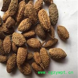 砂仁 进口 壳砂仁 统货 新货 清仓出售 产地 云南省昭通市图3