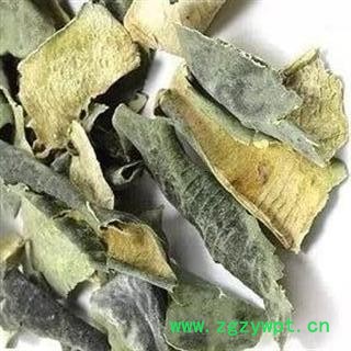 冬瓜皮 冬瓜皮 新货  大片  产地 山东省临沂市图2