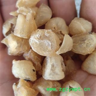 桂圆肉 无加糖 白龙眼肉净货选货 产地 广西壮族自治区桂林市图3