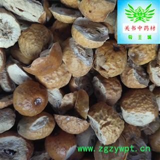 川楝子 川楝子 纯干 新货 关书药材 产地 四川省成都市图2