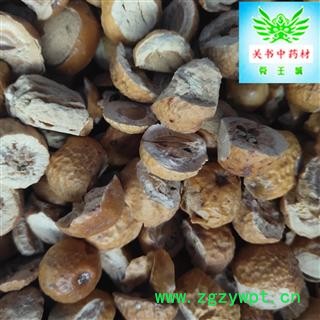 川楝子 川楝子 纯干 新货 关书药材 产地 四川省成都市图3