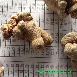 三七 60头 可免费打粉 产地 云南省图2