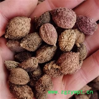 砂仁 阳春壳砂仁炕干选货 产地 广西壮族自治区百色市图2