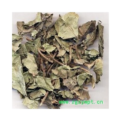 平地木 统货 产地 湖北省 凯捷中药