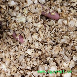 桔梗 无硫桔梗小统货 无碎沫 产地 安徽省图2