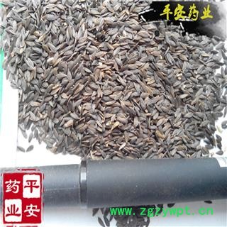 平安药业 黑生菜籽 生菜籽 优质促销图2