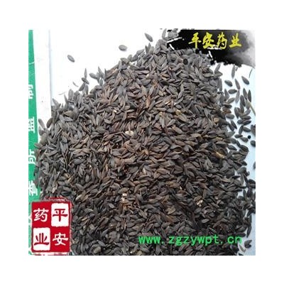 平安药业 黑生菜籽 生菜籽 优质促销