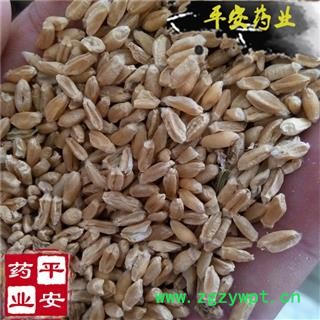 平安药业 浮小麦 别称 浮麦 小麦粉 浮水麦图2