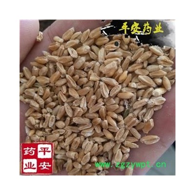 平安药业 浮小麦 别称 浮麦 小麦粉 浮水麦