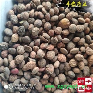 平安药业 蕤仁 美仁子 蕤子 正品 优质图2