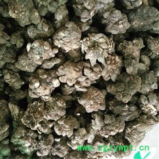 猫爪草 家种猫爪草中选货1.0-1.6 产地 安徽省图2