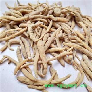 太子参 太子参中统 产地 福建省图2