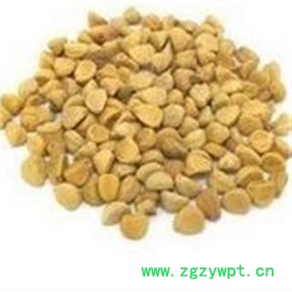 牵牛子 牵牛子白丑统货 产地 河南省图2