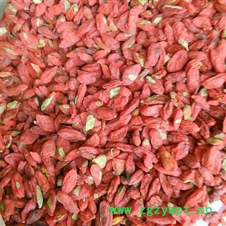 枸杞 药用抓方枸杞 产地 青海省图2