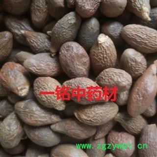 胖大海 胖大海长粒选货 产地 河北省图2