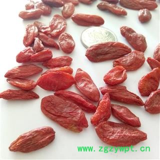 枸杞 青海枸杞  贡果 茶用 果型饱满 肉质肥厚 产地 宁夏回族自治区图2