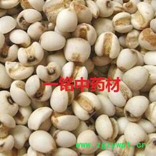 薏米 国产薏苡仁头米0.4 产地 贵州省图2