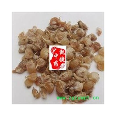 薤白 薤白统货 产地 河北省邯郸市丛台区