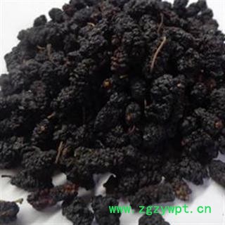 桑葚子 桑椹 产地 新疆维吾尔自治区吐鲁番地区图2