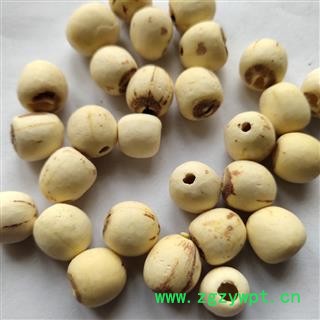 白莲子 精选 湖南 去心磨皮白莲子 产地 湖南省湘潭市图3