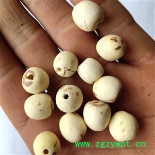 白莲子 精选 湖南 去心磨皮白莲子 产地 湖南省湘潭市图2