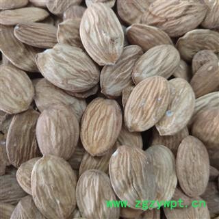 山桃仁 山桃仁统货 无硫  正品 含量高 产地 内蒙古自治区包头市图3