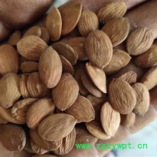 山桃仁 山桃仁统货 无硫  正品 含量高 产地 内蒙古自治区包头市图2