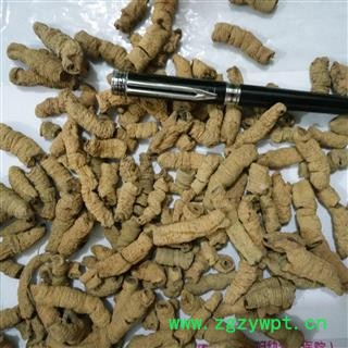 巴戟天 巴戟肉一级选个  全抽心 产地 广东省图2