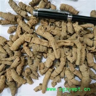 巴戟天 巴戟肉一级选个  全抽心 产地 广东省图3