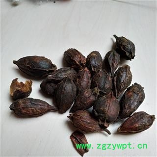 栀子  炒栀子个 栀子米 规格齐全 今年新货 无虫蛀无霉 产地 福建省泉州市图3